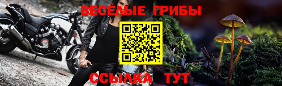 Псилоцибиновые грибы Psilocybe Узловая